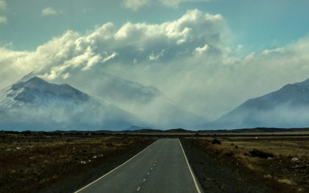 INTO THE WILD