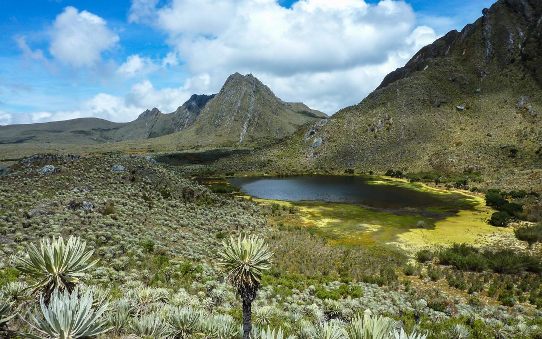 COLOMBIA SECRETA